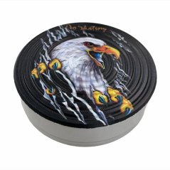 Tréningový spinner disk Eagle
