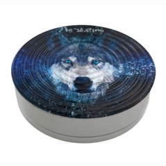 Tréningový spinner disk Wolf