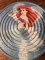 Spinner disk ARIEL